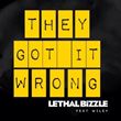 Lethal Bizzle - They Got It Wrong